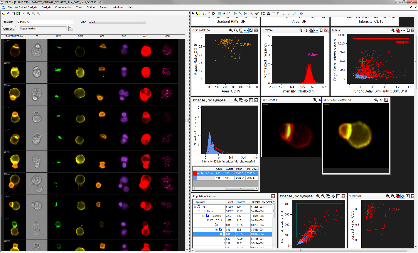 Amnis® Series Imaging Flow Cytometers